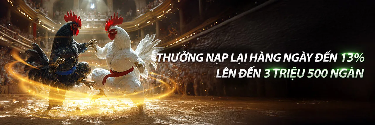 Sân đá gà trực tuyến da ga 666.net với các trận đấu kịch tính